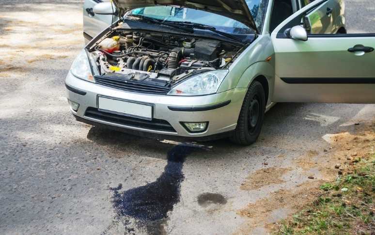 5. Leaks Under the Car
