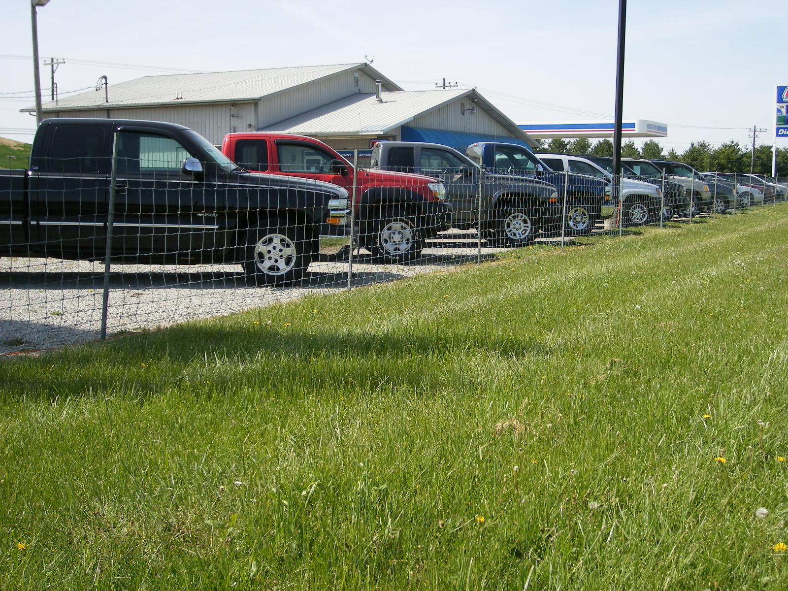Crowe Motors