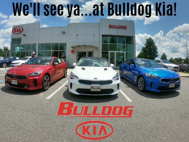 Bulldog Kia