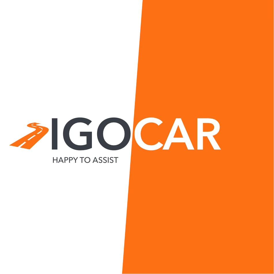 IGOCAR INC