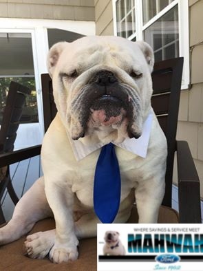 Mahwah Ford Sales & Service