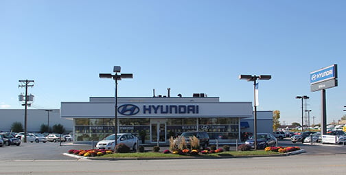 Wilkins Hyundai