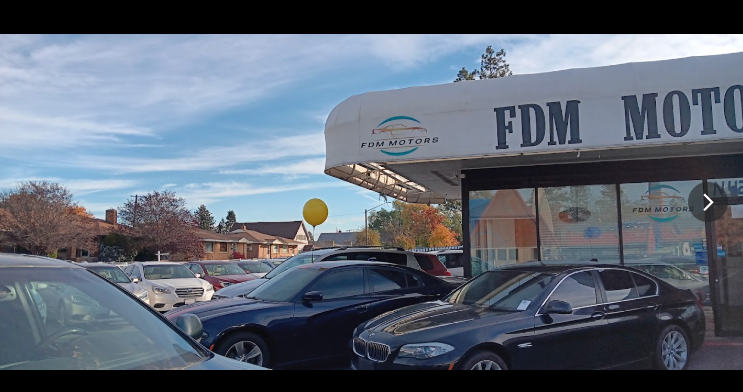 FDM Motors