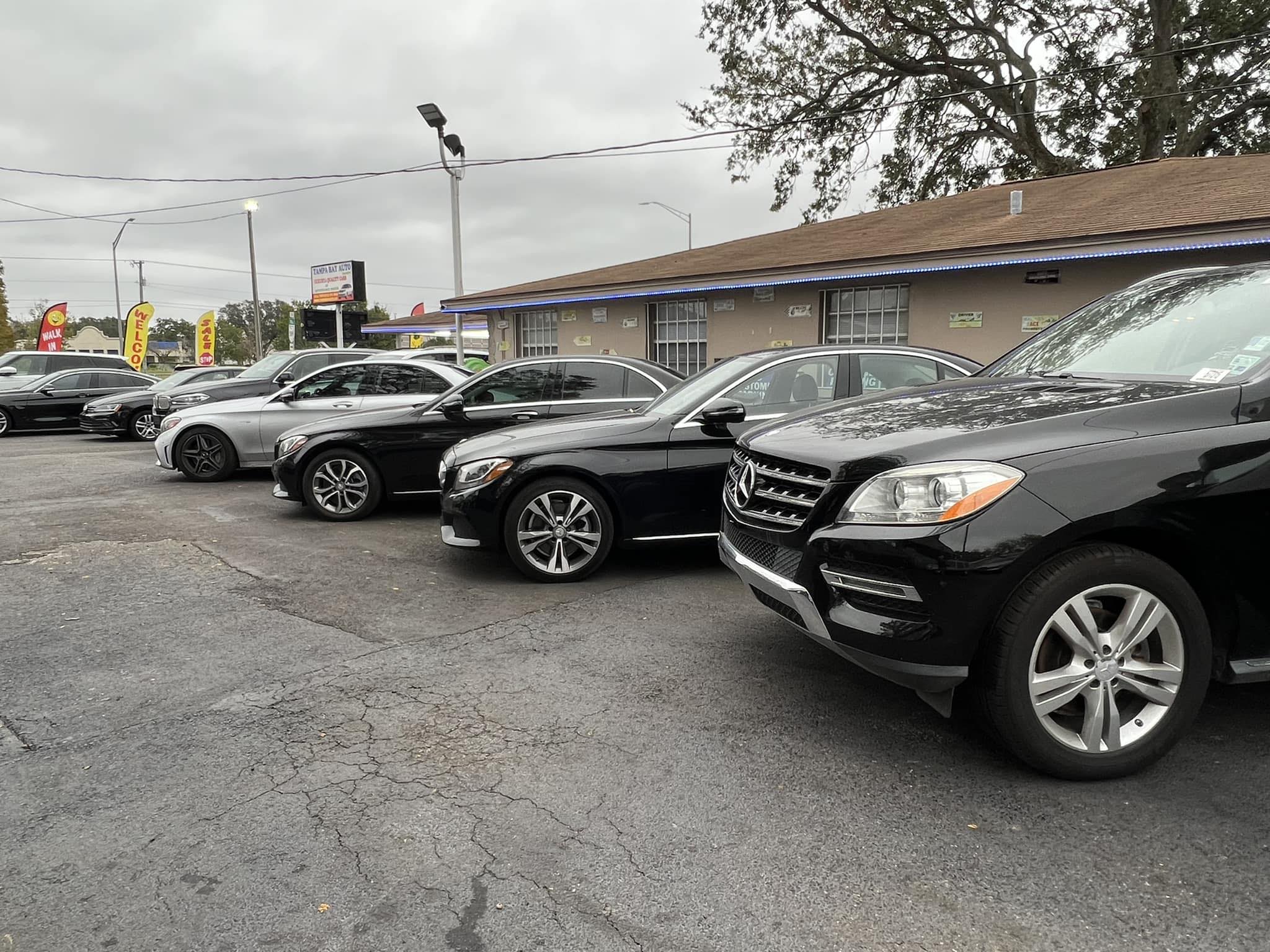 Tampa Bay Auto Experts Inc