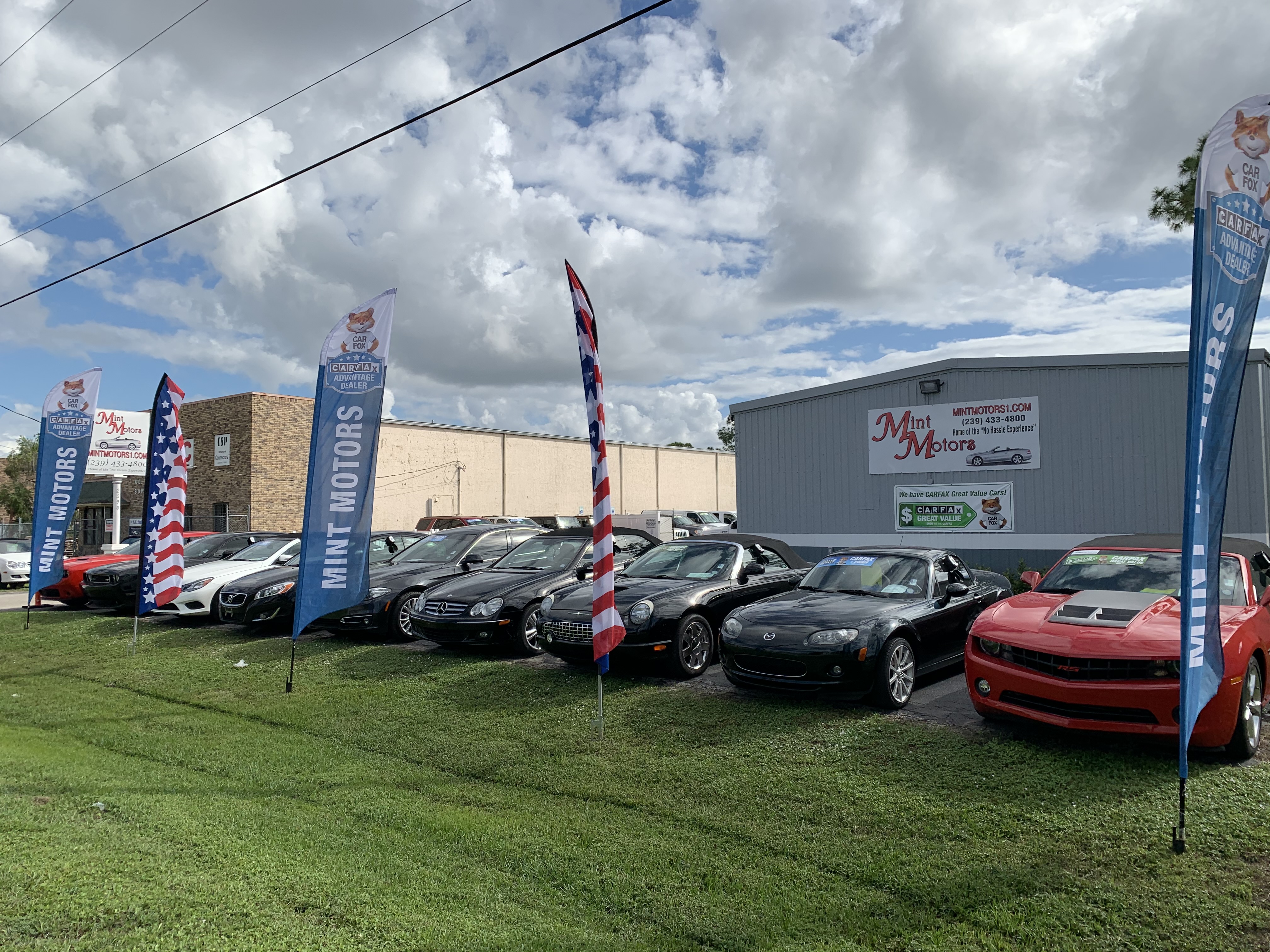 Mint Motors