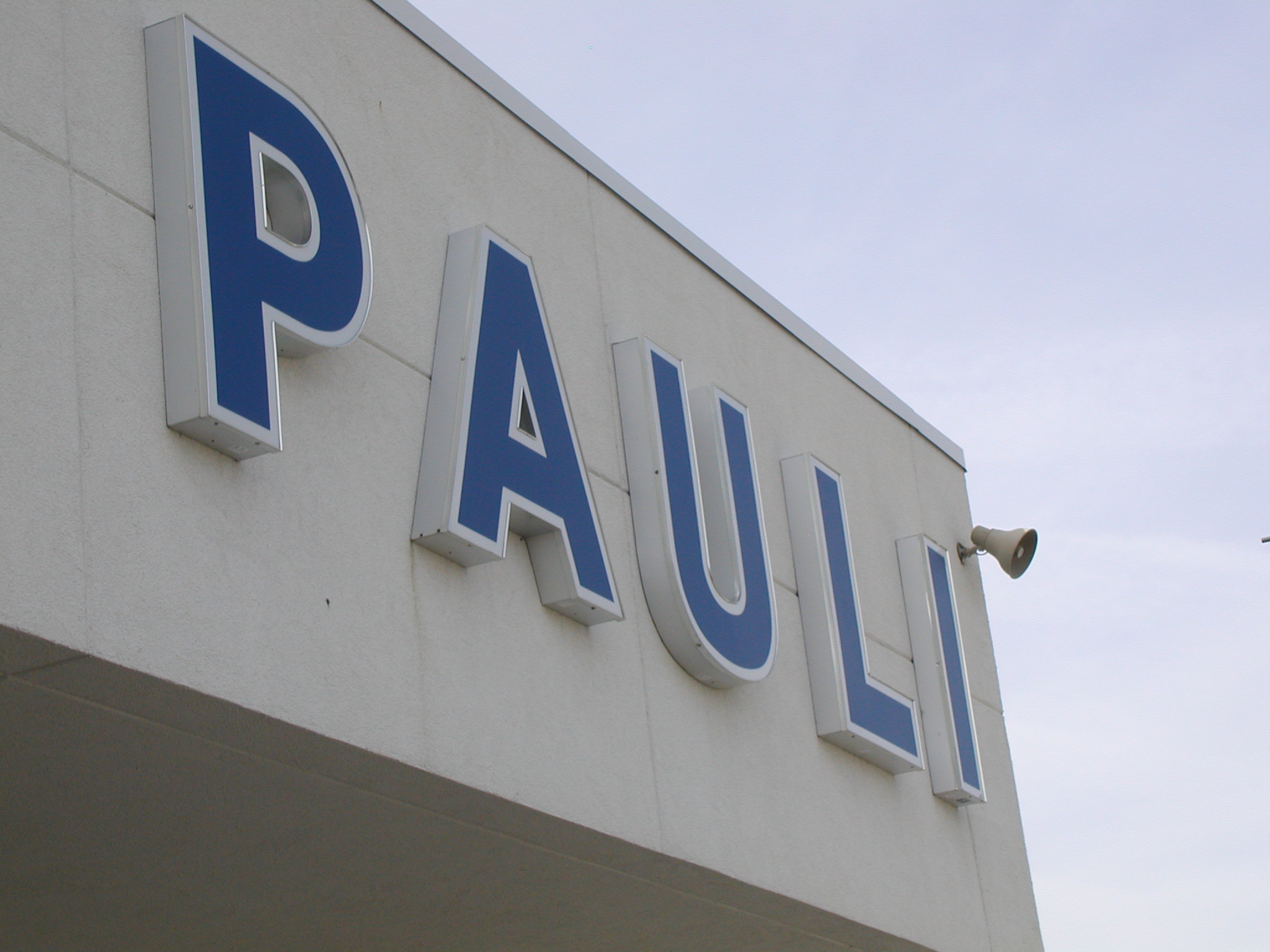 Pauli Ford