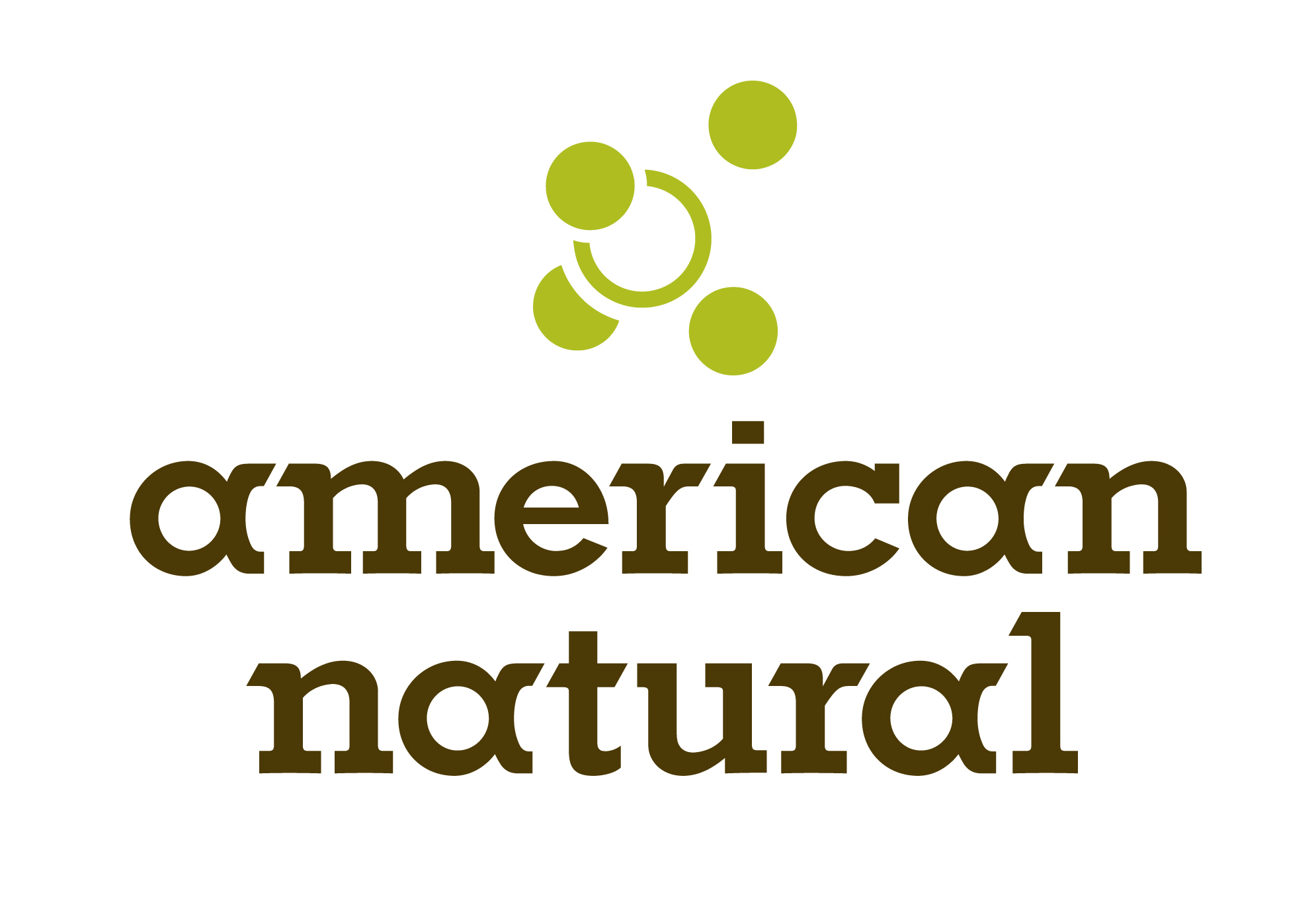American Natural Gas