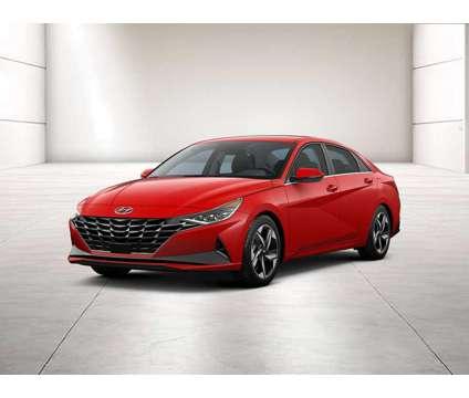 2023 Hyundai Elantra Limited for Sale