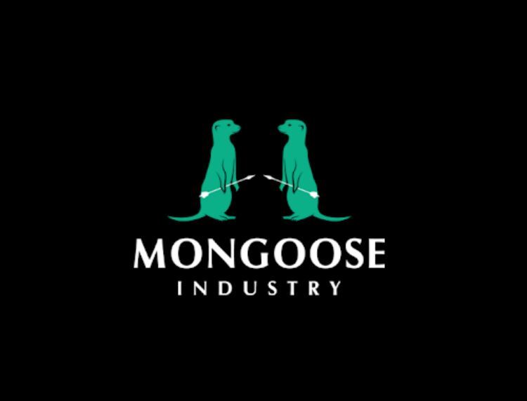 Mongoose Auto Repair Shop