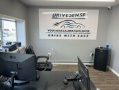 Drivesense